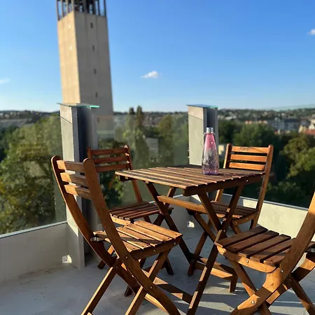 Luxury Penthouse With Giga Terrace In Buda Center Budapesta