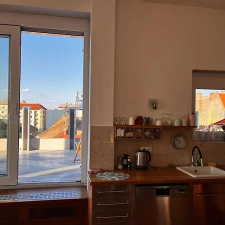 Luxury Penthouse With Giga Terrace In Buda Center *