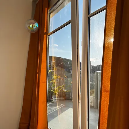 Luxury Penthouse With Giga Terrace In Buda Center Budapest