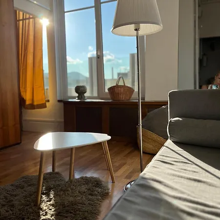 Luxury Penthouse With Giga Terrace In Buda Center Apartment *